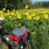 1208F 142 Rhein-Radweg